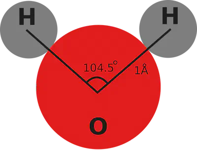 The water molecule has two hydrogen and one oxygen atom. The angle between covalent bonds is about 104.5º and the distance from the oxygen nucleus to hydrogen is about 1 angstrom.