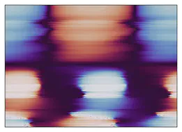 Polarimetry field photo