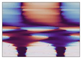Polarimetry field photo